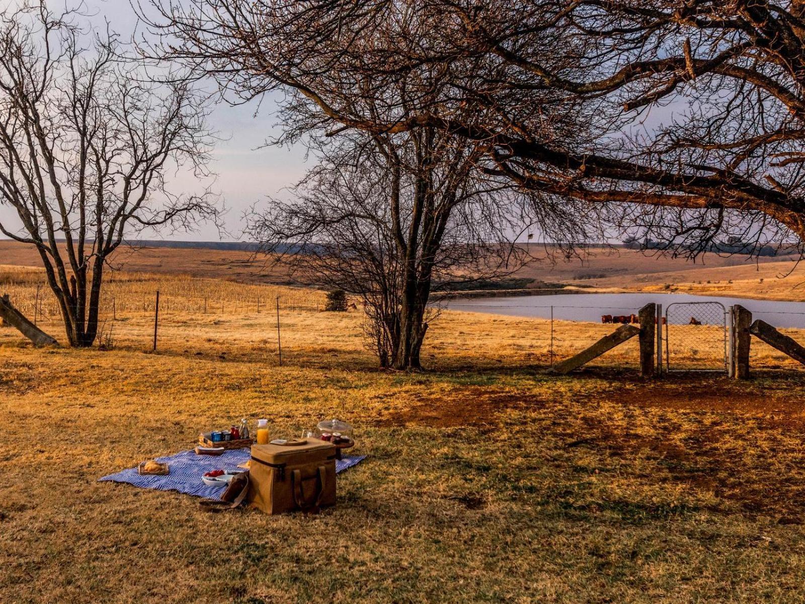 Buffalo Hills Private Game Reserve Harrismith ห้อง รูปภาพ